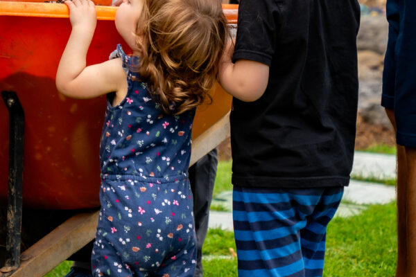 Within Reach A young visitor stretches to see the action during an Earth Day event at Penn State's Arboretum on 19 April 2025.