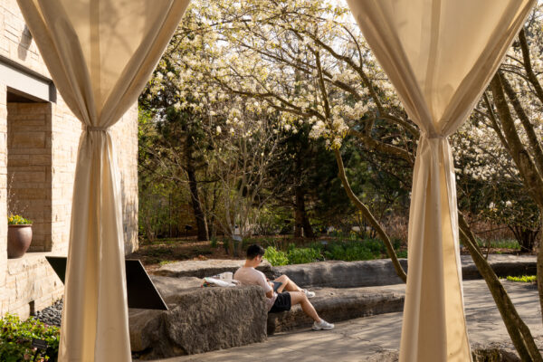 Quietude A student finds a quiet space for study at the Penn State Arboretum.